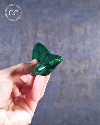 Malachite Polished Freeform #3