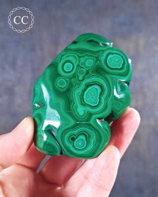 A hand holding a polished Malachite freeform