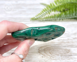Malachite Polished Freeform #5