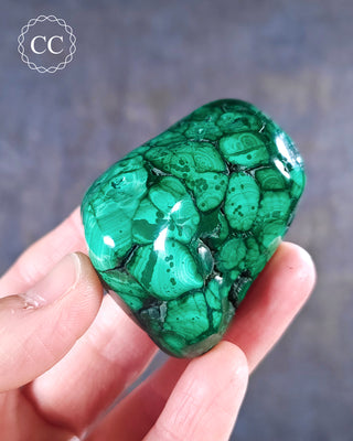 Malachite Polished Freeform #12