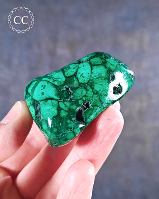 Malachite Polished Freeform #12