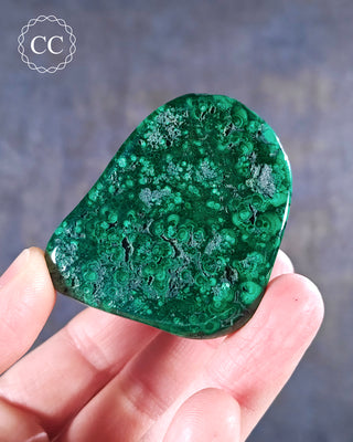 Malachite Polished Freeform #12