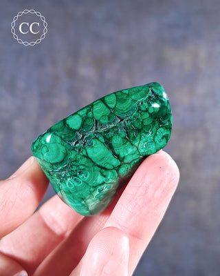 Malachite Polished Freeform #12