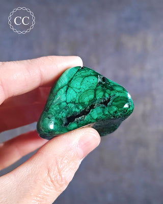 Malachite Polished Freeform #12