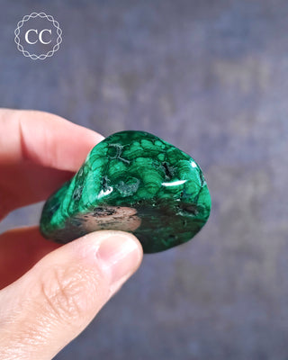 Malachite Polished Freeform #12