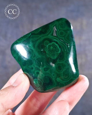 A hand holding a polished Malachite freeform