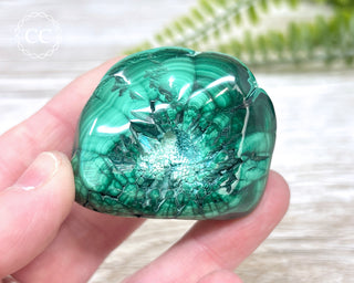 Malachite Polished Freeform #9