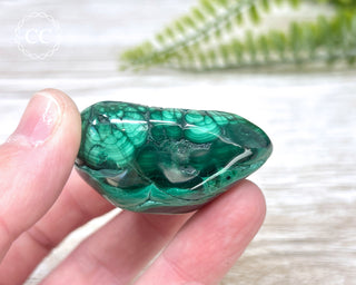 Malachite Polished Freeform #9