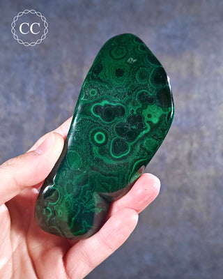 A hand holding a polished Malachite freeform