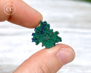 Azurite & Malachite Slice Kazakhstan #3