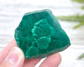 Malachite Polished Slice