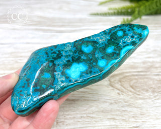 Malachite & Chrysocolla Polished Freeform #15