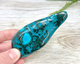 Malachite & Chrysocolla Polished Freeform #2