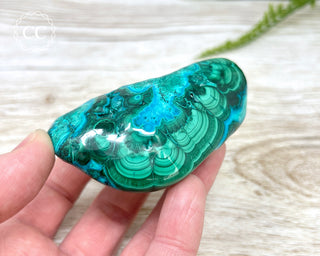 Malachite & Chrysocolla Polished Freeform #3