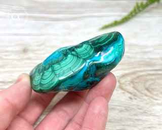Malachite & Chrysocolla Polished Freeform #3