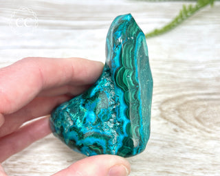 Malachite & Chrysocolla Polished Freeform #1