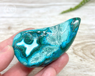 Malachite & Chrysocolla Polished Freeform #8