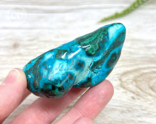 Malachite & Chrysocolla Polished Freeform #8