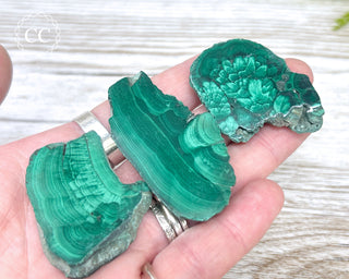 Malachite Polished Slice