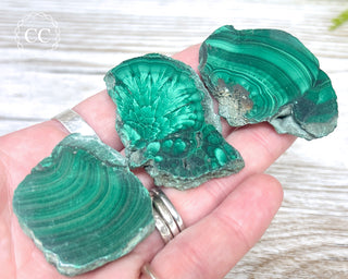 Malachite Polished Slice