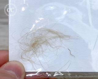 Mammoth Hair