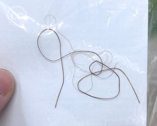 Mammoth Hair