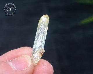 Mango Quartz #12