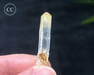 Mango Quartz #12