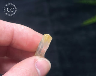 Mango Quartz #12