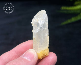 Mango Quartz #1