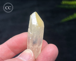 Mango Quartz #2