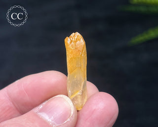 Mango Quartz #4