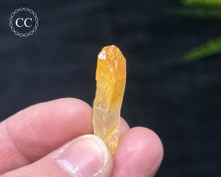 Mango Quartz #4
