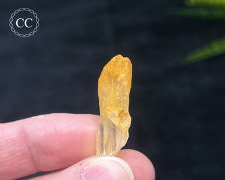 Mango Quartz #4