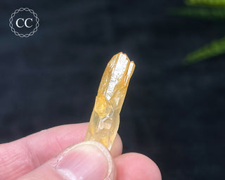 Mango Quartz #4