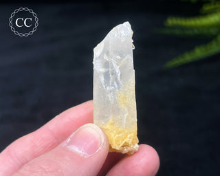 Mango Quartz #1