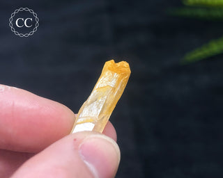 Mango Quartz #4