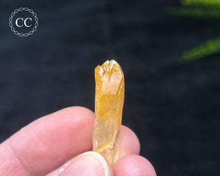 Mango Quartz #4