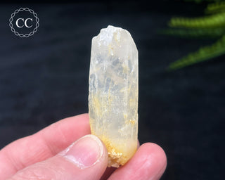 Mango Quartz #1