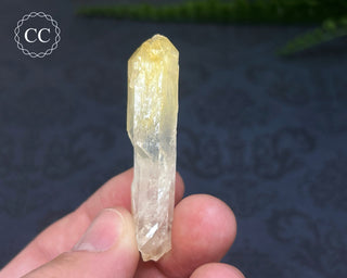 Mango Quartz #4