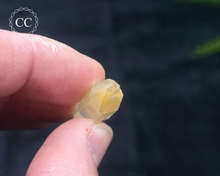 Mango Quartz #5