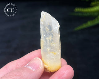 Mango Quartz #1
