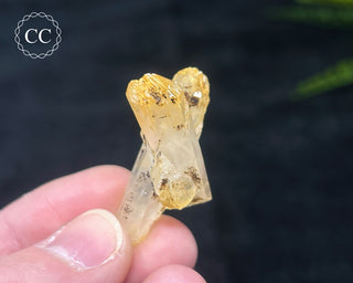 Mango Quartz #6