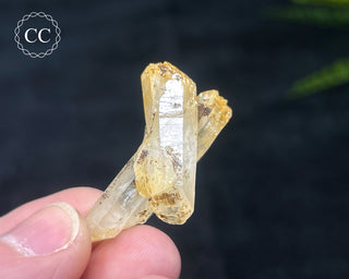 Mango Quartz #6