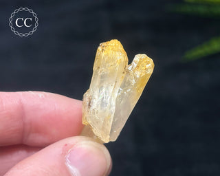 Mango Quartz #6