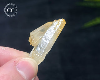 Mango Quartz #6