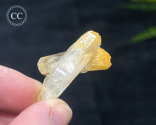 Mango Quartz #6