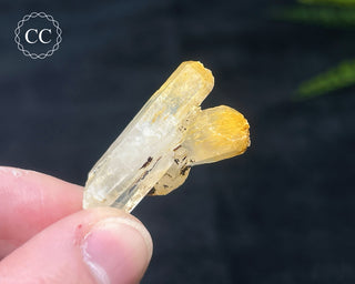 Mango Quartz #6