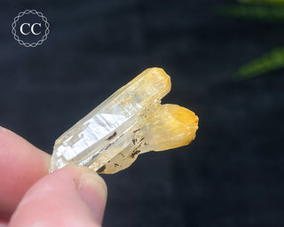 Mango Quartz #6