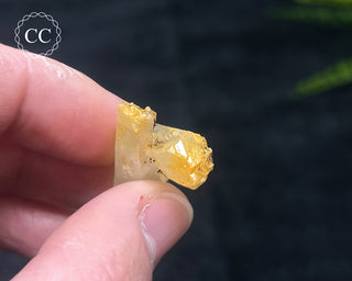 Mango Quartz #6